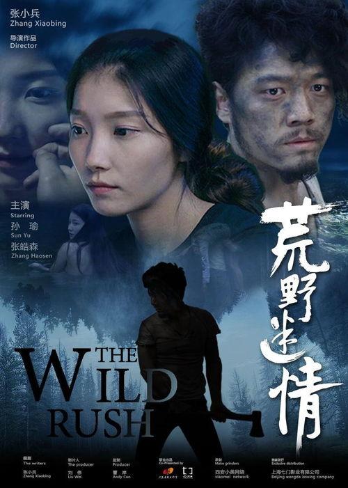 迷情影院在线观看,一场跨越时空的观影奇遇